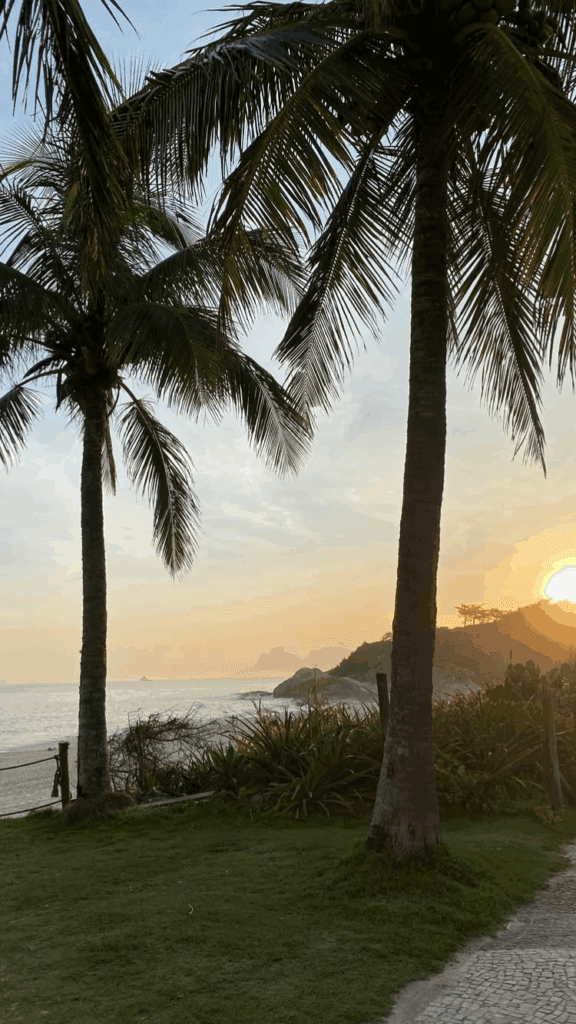 palmtrees, sunset, the refreshing evening breeze. Brazilian coastline